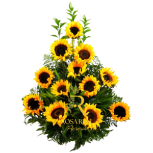 Canasta de 12 Girasoles Naturales