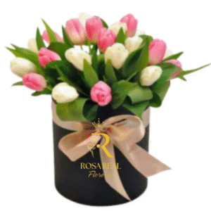 Box de 20 tulipanes frescos en presentación de lujo de Rosa Real