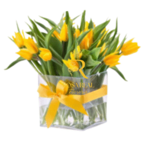 Cubo acrílico con 30 tulipanes amarillos frescos de Rosa Real Florería