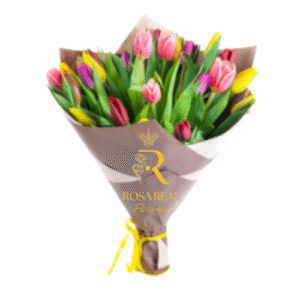 Ramo de 30 tulipanes frescos en varios colores