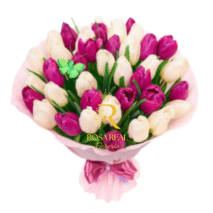 Ramo de 30 tulipanes blancos y fucsia