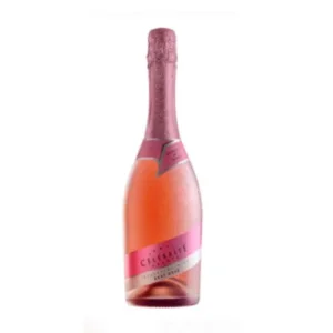 Botella de champagne elegante para regalo y celebración