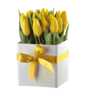 Box de 20 tulipanes frescos