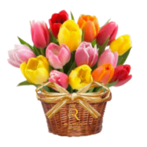 Canasta de 30 tulipanes frescos en colores surtidos
