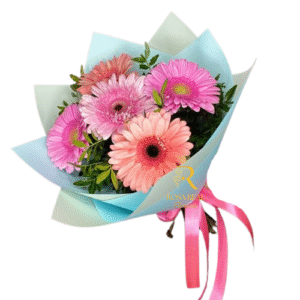 Ramo de 5 gerberas frescas y coloridas en presentación elegante