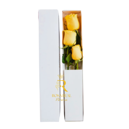 Caja de 3 rosas amarillas elegantes