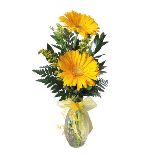 Florero de 2 gerberas amarillas frescas con follaje decorativo