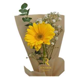 Ramo de 1 gerbera amarilla fresca