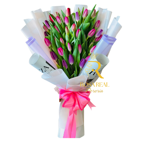 Ramo de 50 tulipanes naturales envueltos en presentación elegante