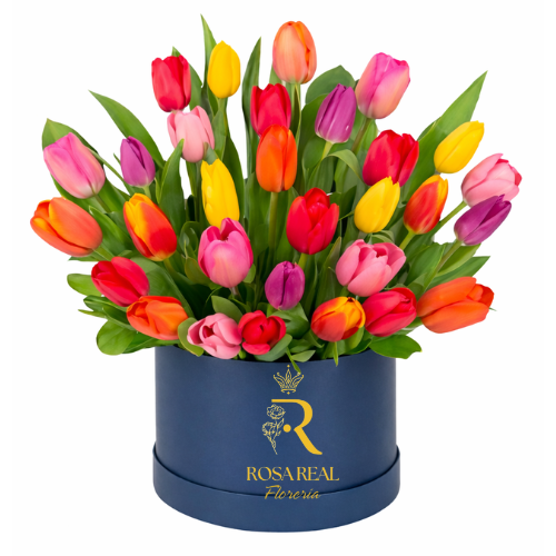 Caja de tulipanes de colores en sombrerera azul elegante