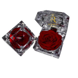 Rosa preservada perfumada en caja de cristal