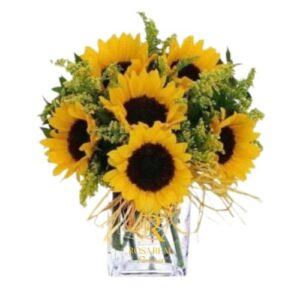 Florero de 10 girasoles frescos en presentación elegante