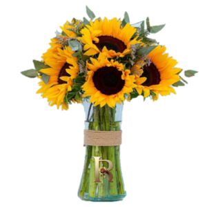 Florero de 8 girasoles frescos en arreglo transparente en Santiago - Rosa Real